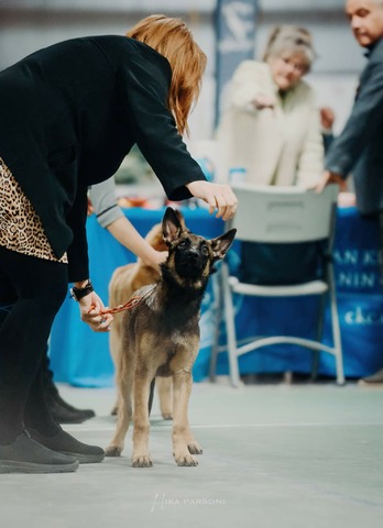 4 Month - Headshot at NKC Show